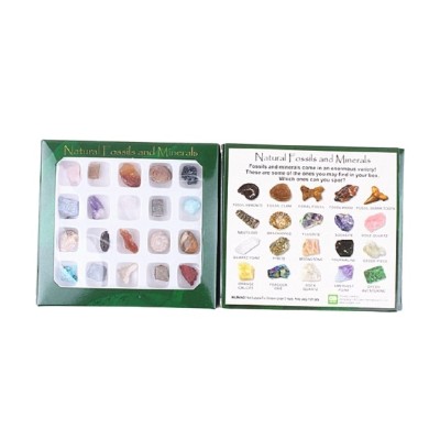 Coffret 20 Pierres et Fossiles Brutes