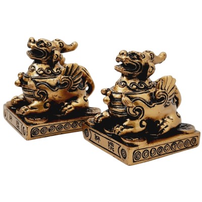 Couple de Pi Yao Protecteurs bronzes