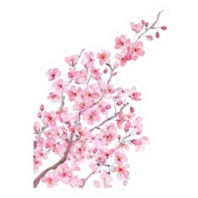 Sticker Petite Branche de Fleurs de cerisier