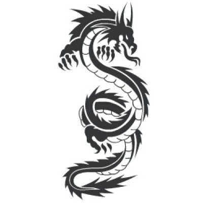 Sticker Dragon Protecteur
