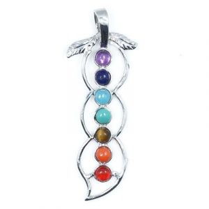 Pendentif Grappe de Raisins des 7 Chakras