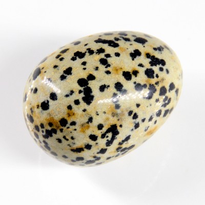 Oeuf en Jaspe Dalmatien 40mm – Image 2