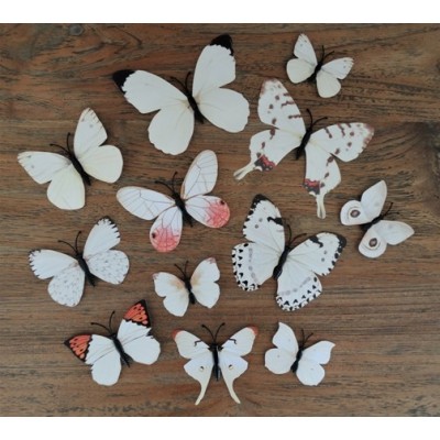 Stickers 12 Papillons Beiges 3D – Image 2