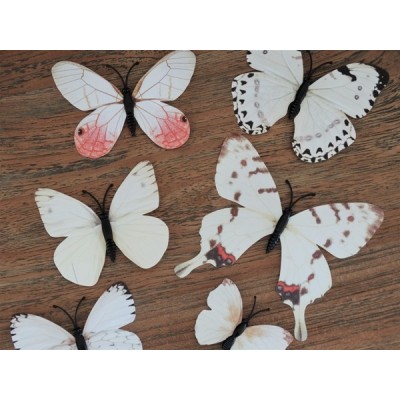 Stickers 12 Papillons Beiges 3D – Image 3