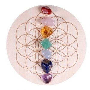 Fleur de Vie des 7 Chakras