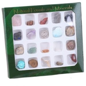 Coffret 20 Pierres et Fossiles Brutes