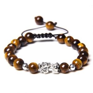 Bracelet Pi Yao Argenté en Oeil de Tigre marron