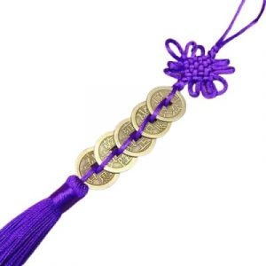 5 Pièces de l'Empereur violet Elément Feu