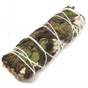 Bâton Sauge blanche et Menthe poivrée 10cm