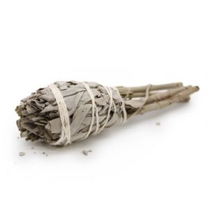 Torche de Fumigation Sauge blanche 10cm