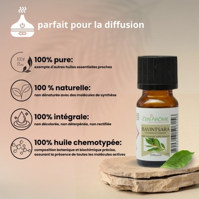 Huile Essentielle de Ravintsara – Image 3