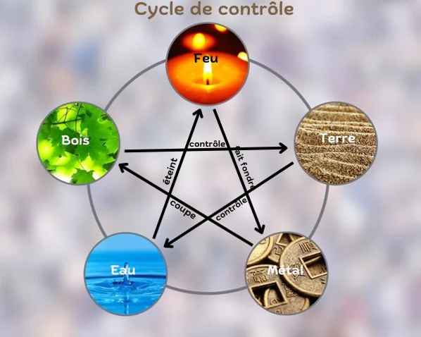 Schéma du cycle de contrôle des 5 éléments Feng Shui pour maîtriser un excès d’énergie