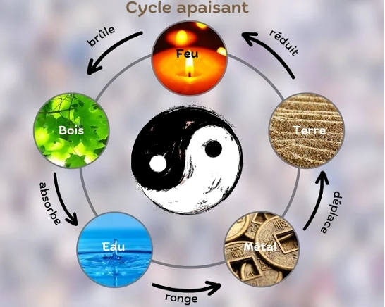 Schéma du cycle apaisant des 5 éléments Feng Shui pour équilibrer les énergies
