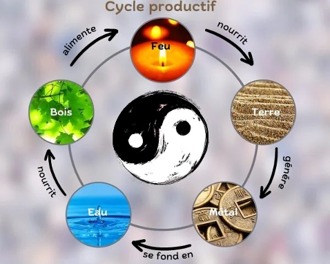 Schéma du cycle productif des 5 éléments Feng Shui et circulation harmonieuse du Chi