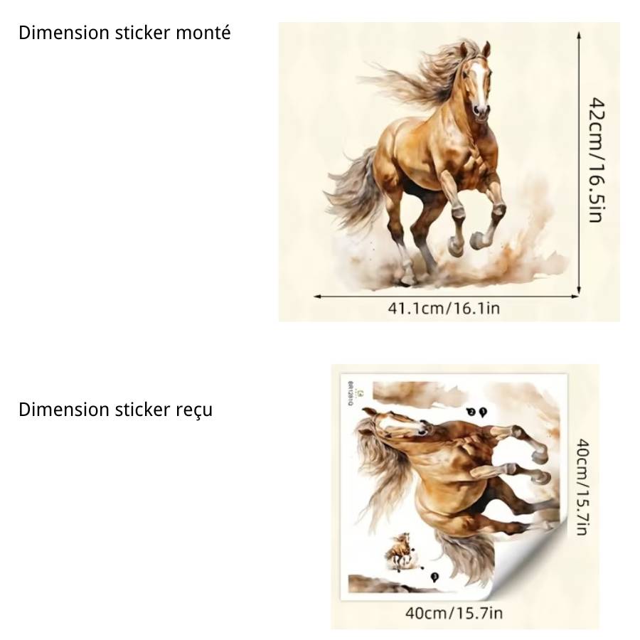 dimensions sticker cheval feng shui 42 x 41 cm