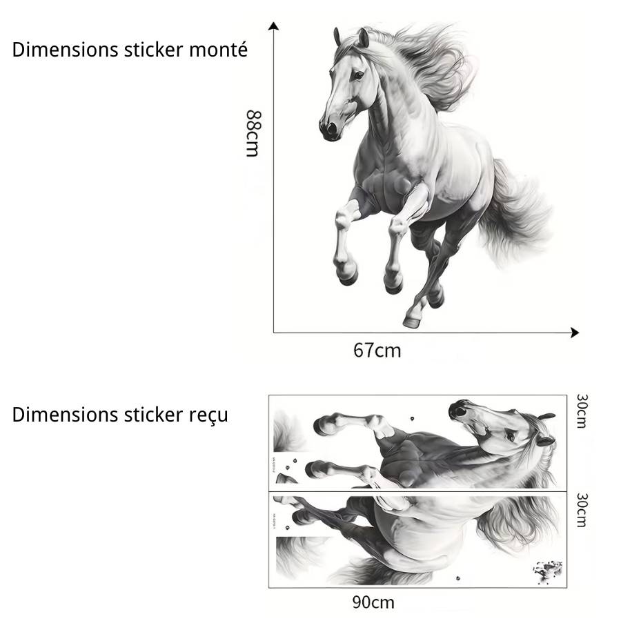 Dimensions du Sticker Cheval de la Réussite Feng Shui