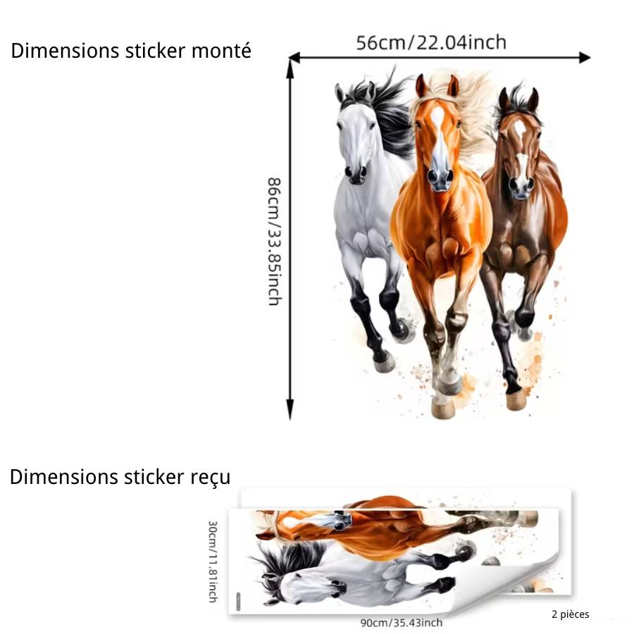 Dimensions du Sticker Cavaliers du Succès Feng Shui