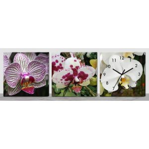 Horloge Murale Fleurs d'Orchidées Équatoriales décorative Feng Shui