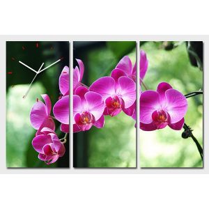 Horloge Murale Orchidées dans la Verdure Feng Shui avec orchidées roses