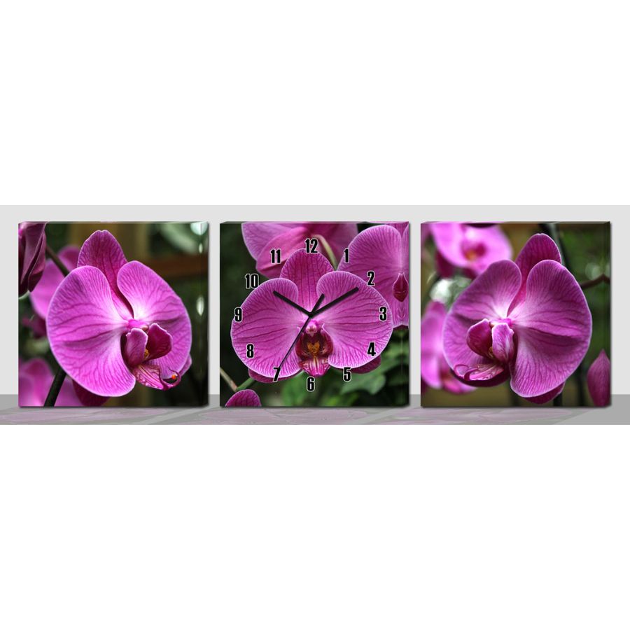 Horloge Murale Trois Fleurs d'Orchidées fushia Feng Shui