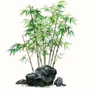 Sticker Bambous de l'Essor avec bambous et rochers Feng Shui