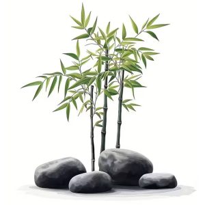 Sticker Bambous Zen Feng Shui avec bambous et galets décoratifs