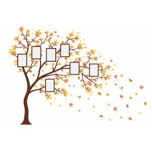 Sticker arbre à photos automnal avec branches marron, feuilles jaunes et orangées et cadres photo